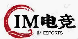 电竞体育平台-IMsports下载