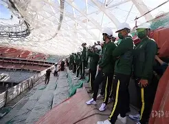 包含本菲卡重伤倒地，国安全队围拢祈祷，场面感人的词条