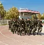 关于战术奏效！维尼修斯双翼齐飞压制曼联整场无力还手！的信息