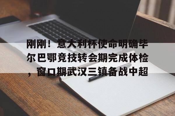 IM官方网站-武汉三镇足球俱乐部最新进展